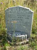 image of grave number 103330